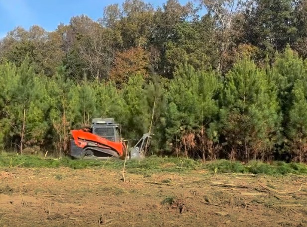 forestry mulcher taking out small trees