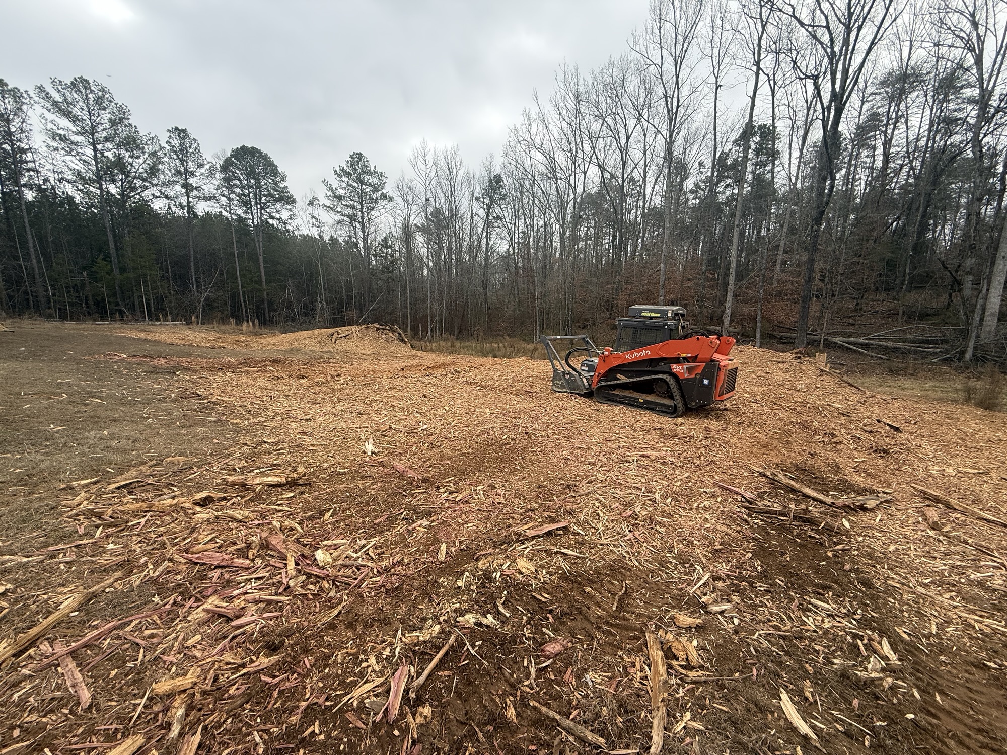 land clearing with forestry mulcher